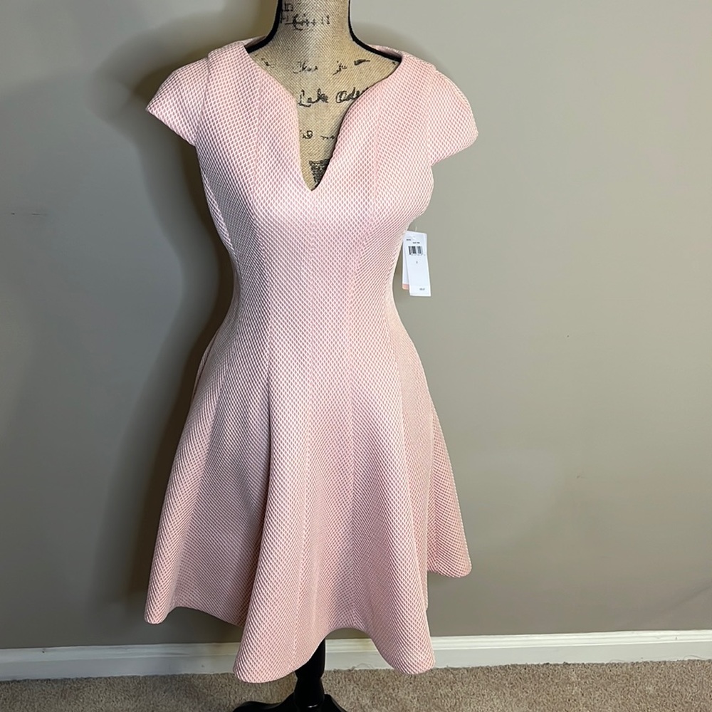 NWT. Fit and Flare Dress